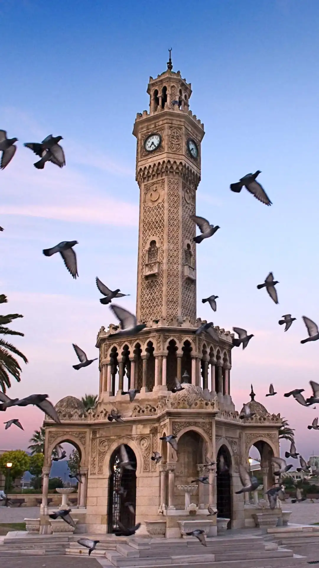 Böcek İlaçlama ve Uygulama Bölgelerimiz